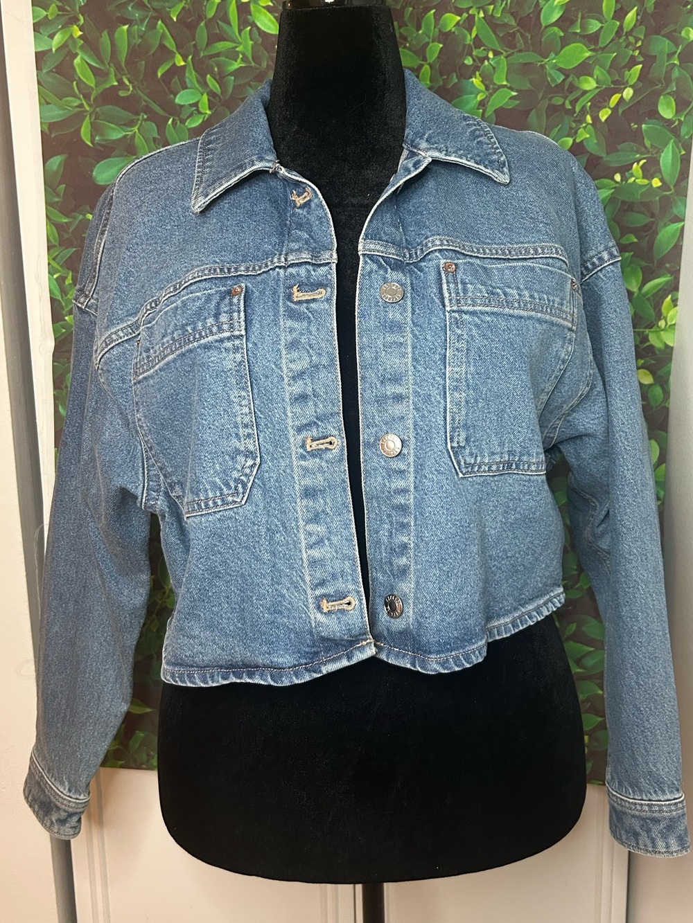 Express Light Blue Cropped Denim Jacket